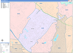 Lake Forest Wall Map Color Cast Style 2026